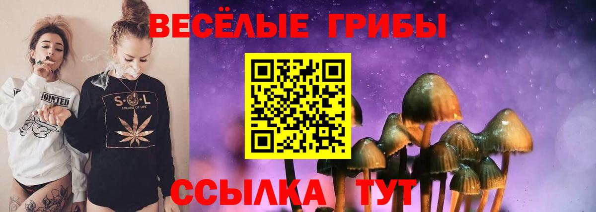 Добрянка  Псилоцибиновые грибы MAGIC MUSHROOMS  наркотики  Вход с VPN  Псилоцибиновые грибы Psilocybine cubensis 